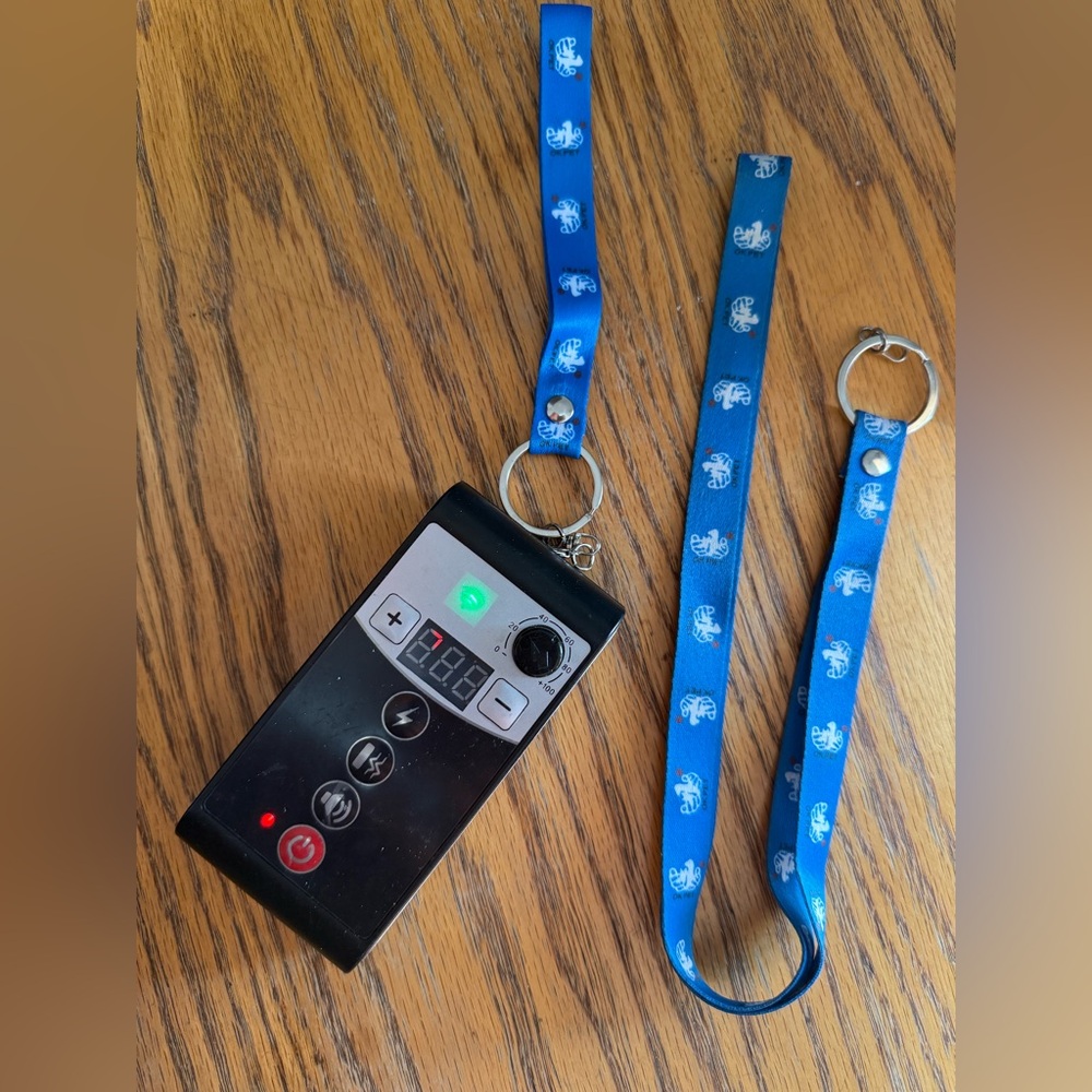 Wireless Pet Training System with Remote - Picture 8 of 9